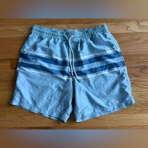 American Eagle Outfitters Light Blue Swim Trunks